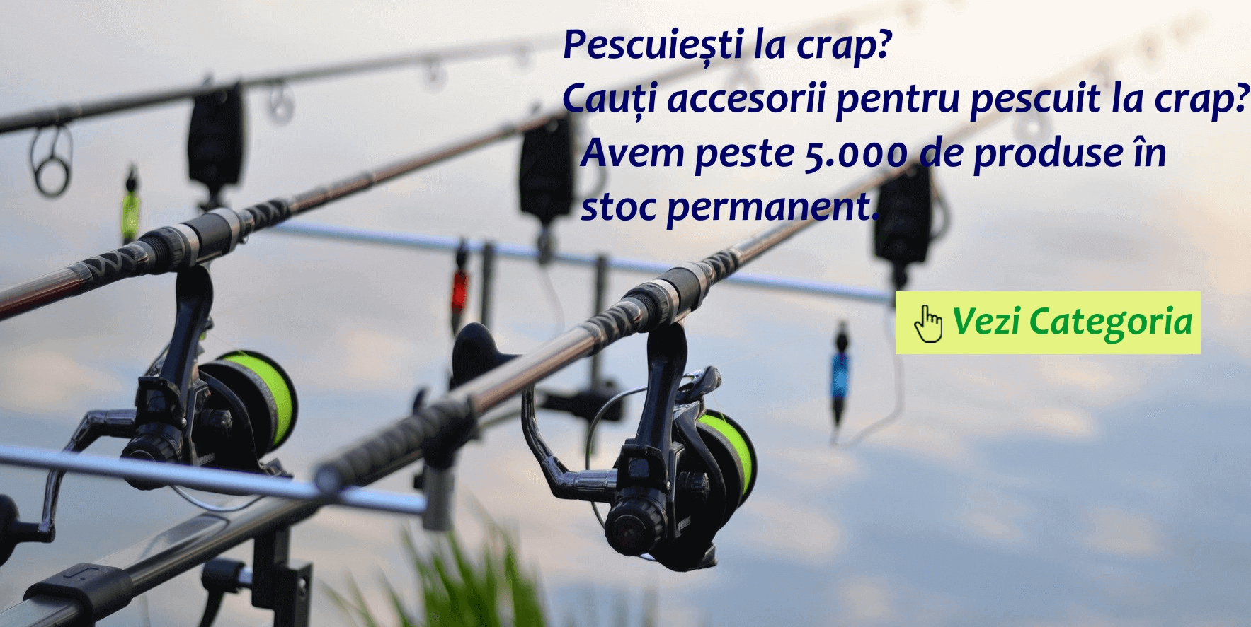 Pescuit la Crap - Solutii Complete - Apasa pentru a vedea catalogul